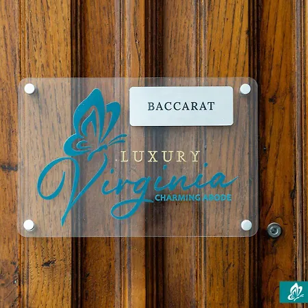 Virginia Luxury Apartment